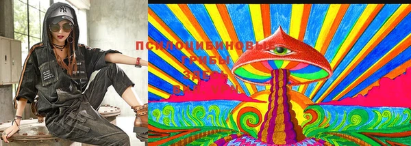 тгк Баксан