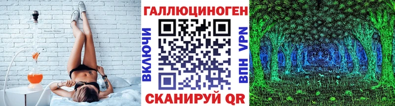 Галлюциногенные грибы Psilocybe  Короча 